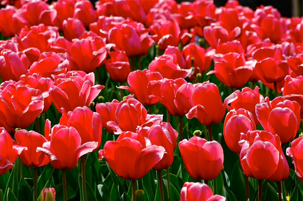 A little over the top!