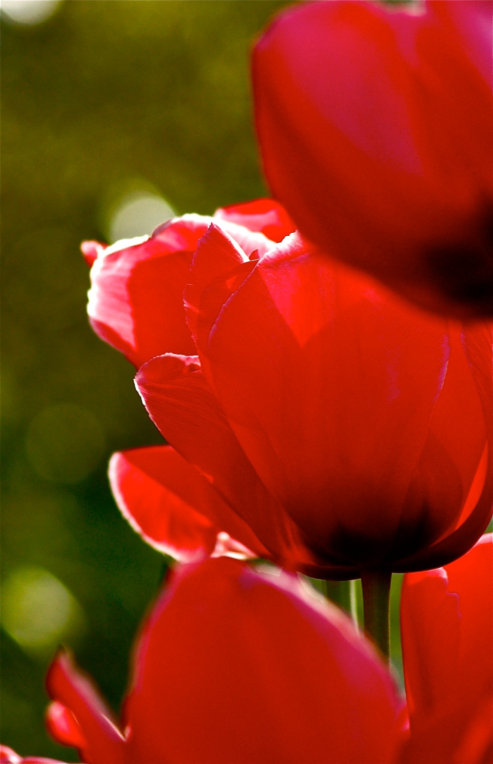 stand up straight, your picture is being taken