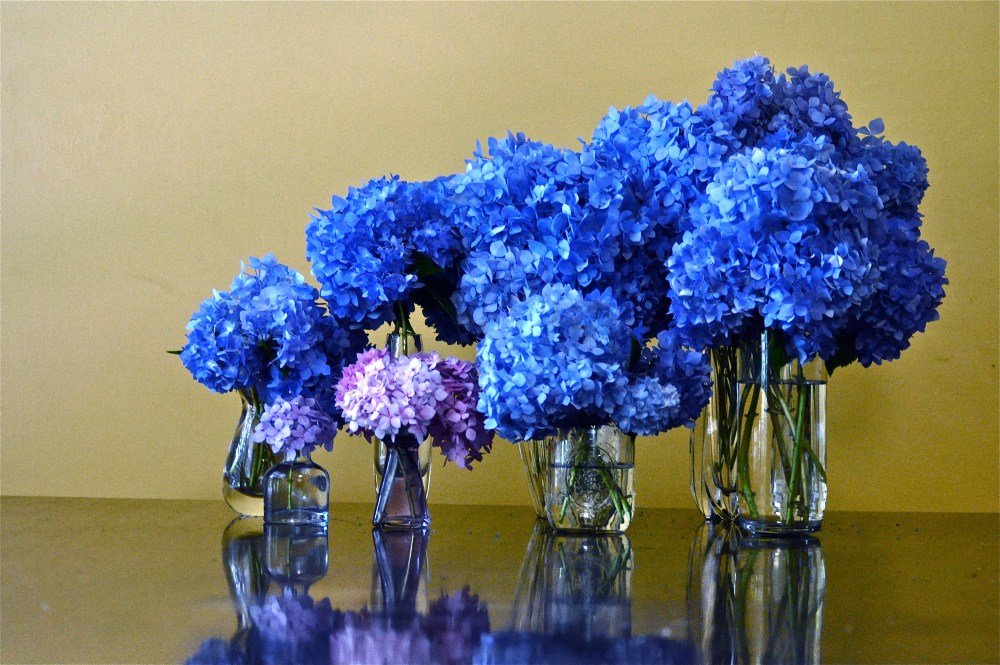 This Hydrangea is working so hard, this is my early morning harvest for the week