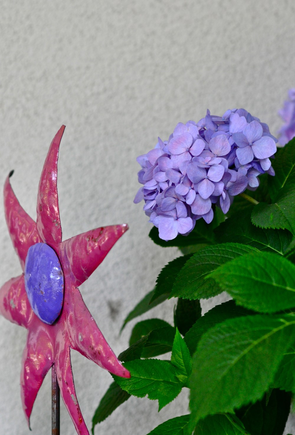 can you tell which one is real?