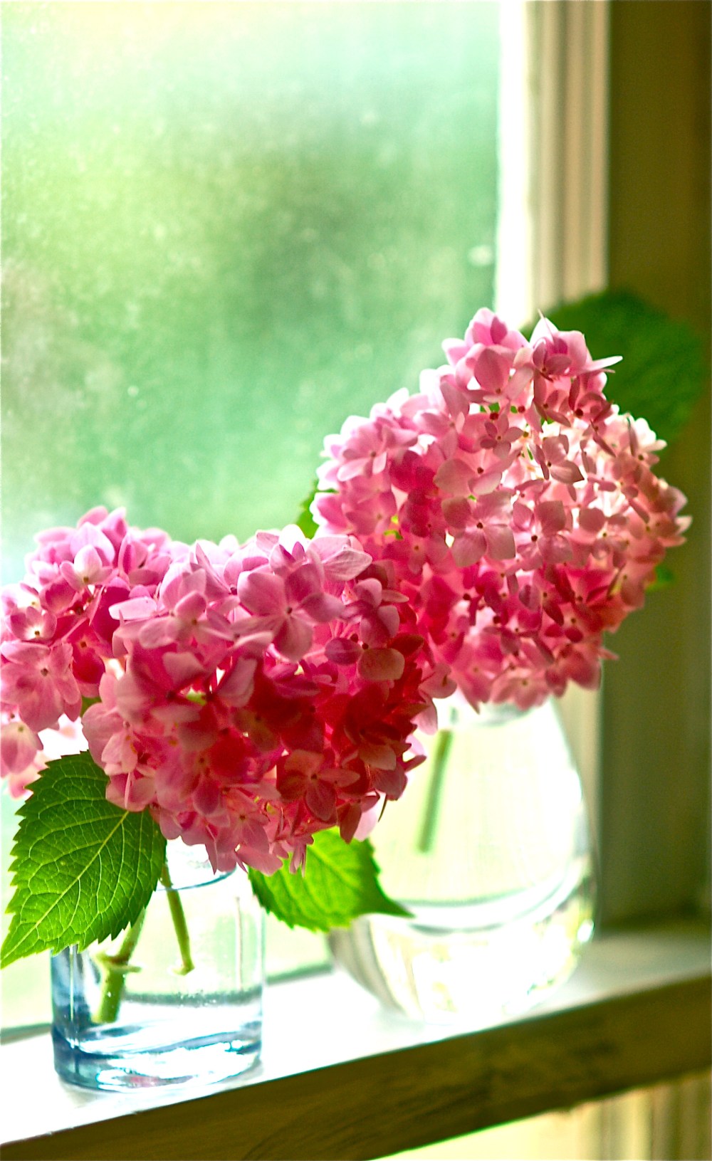 Little vases, big flowers