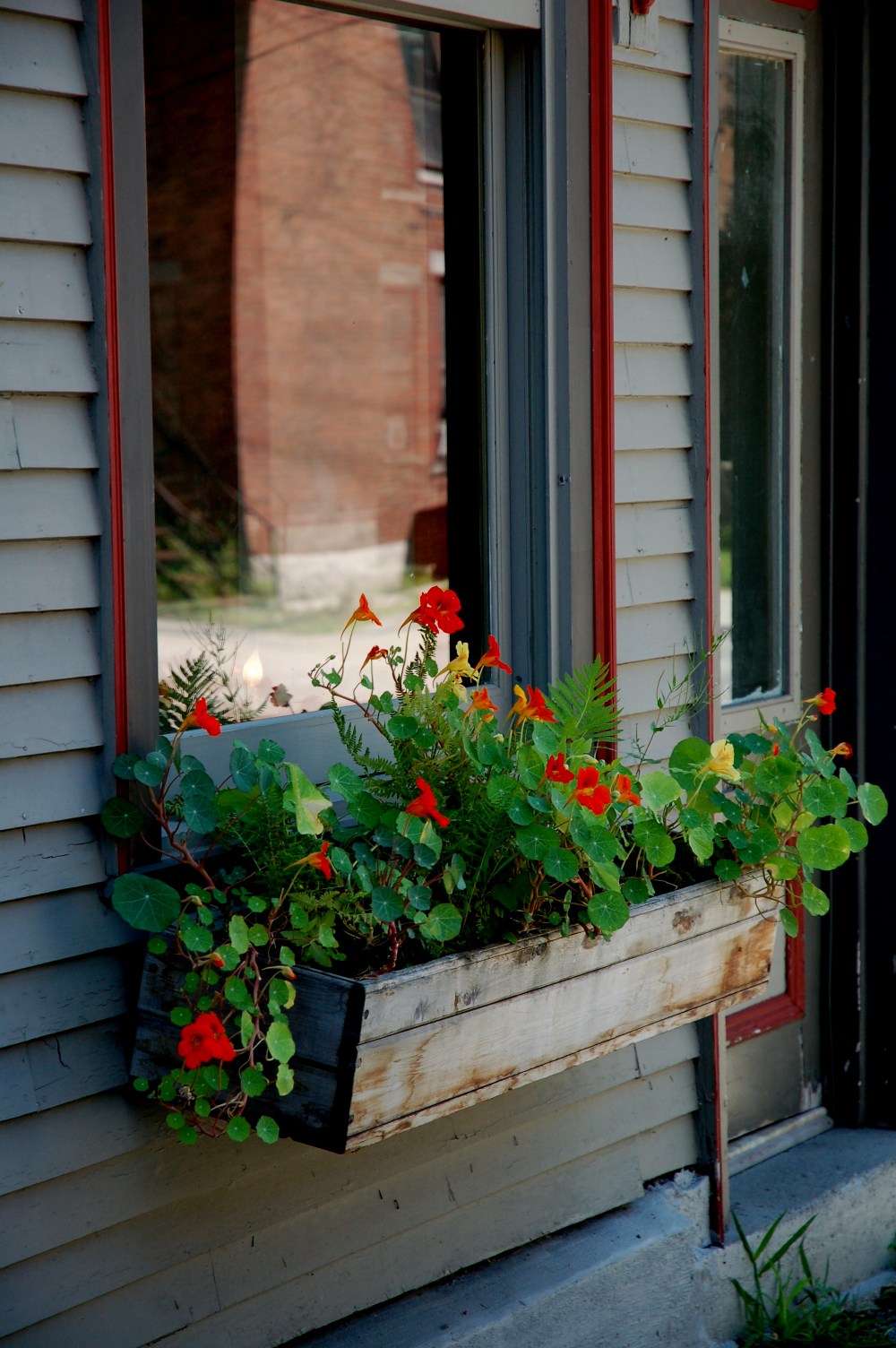 I love window boxes