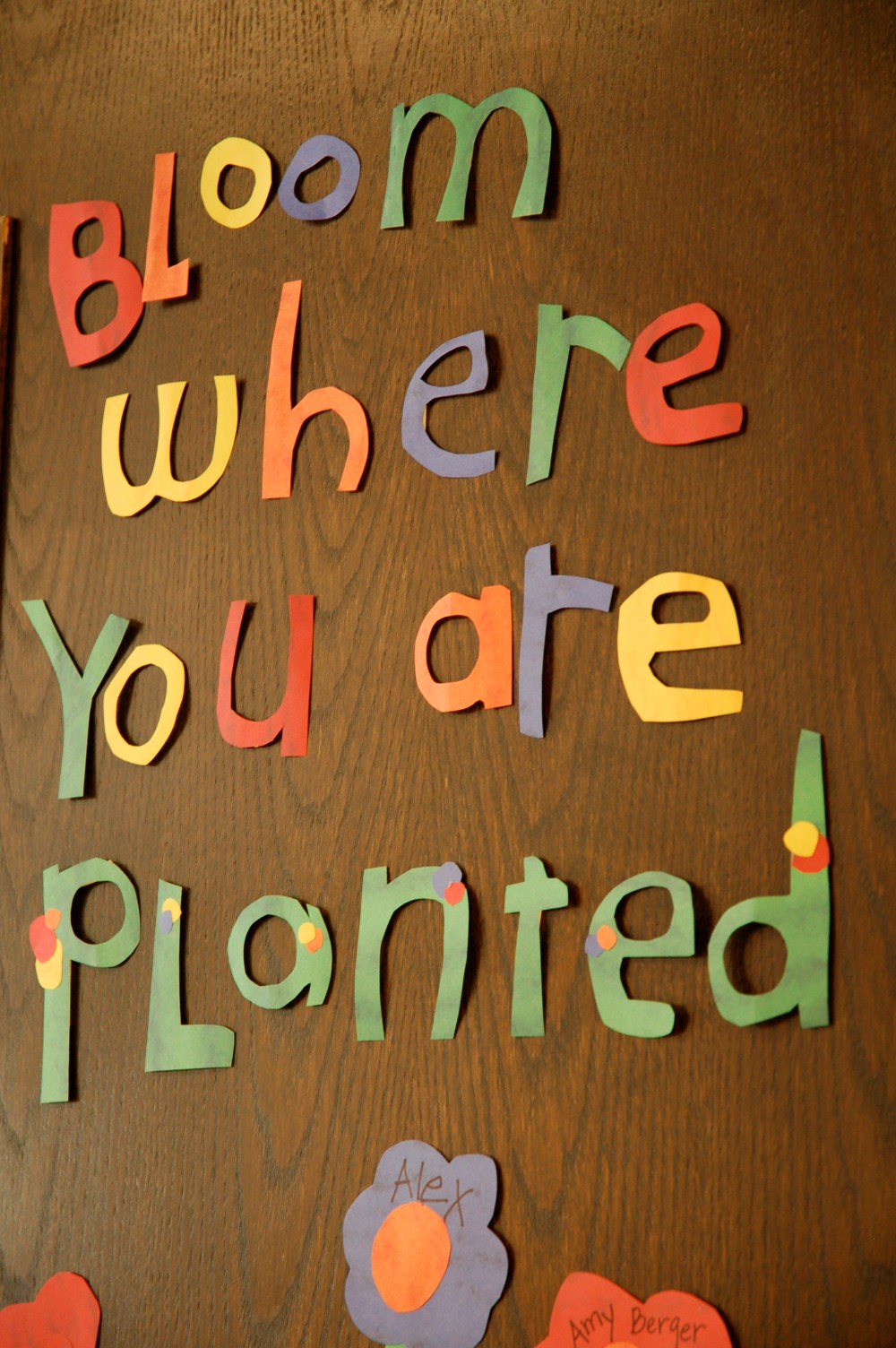 Bloom where you are planted