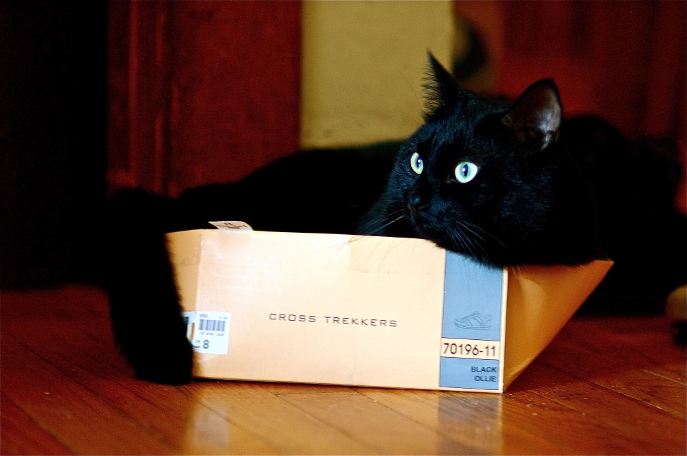 The incredible shrinking box