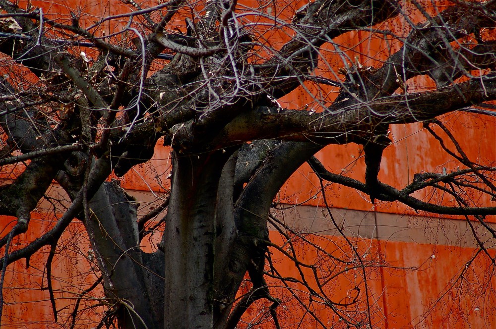 What a tangle web we weave....