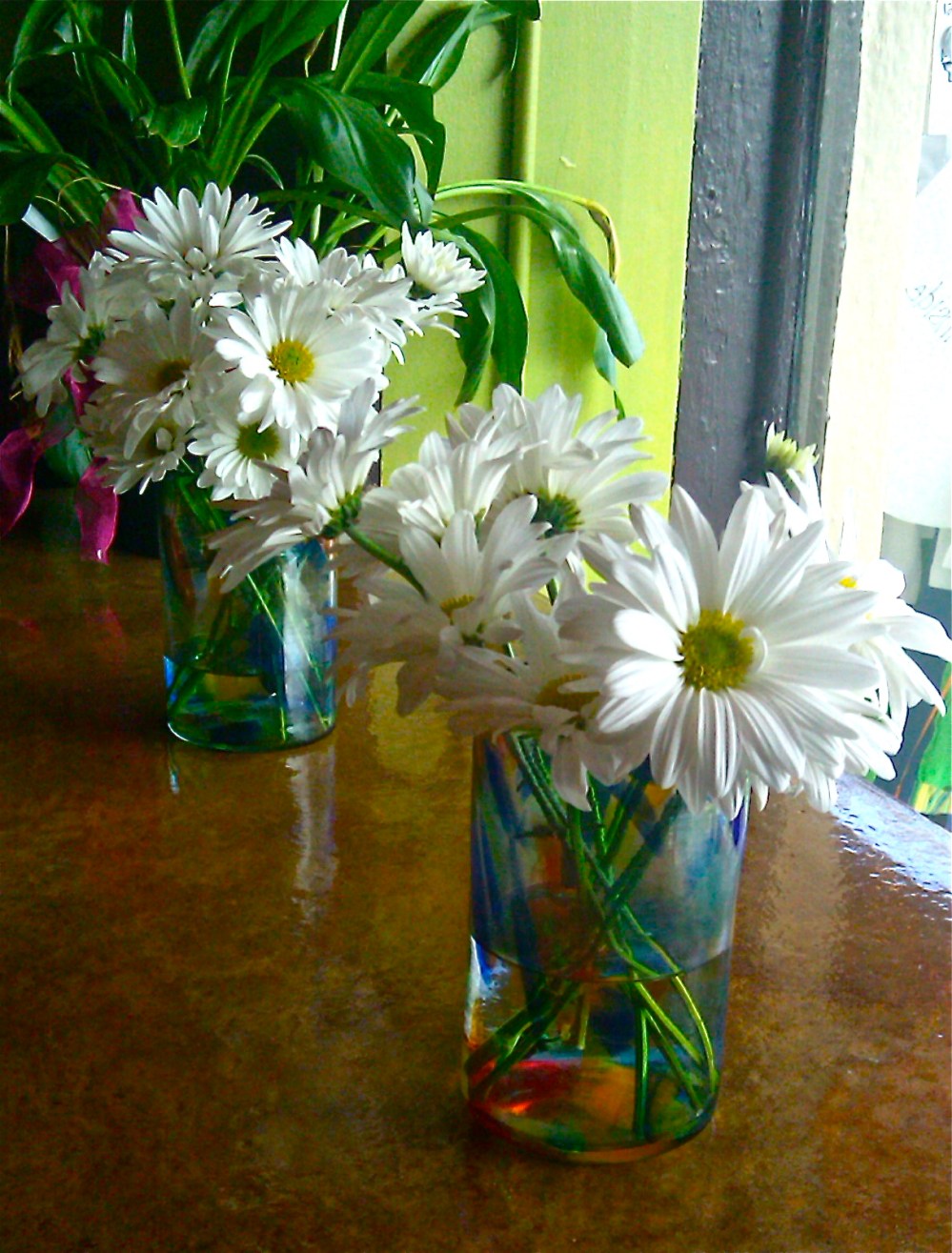 Nothing is sweeter then Daisies' in a cup
