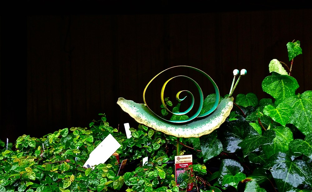 Did you hear about the one...