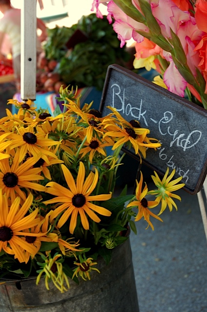Black eyed Susan's grow wild 