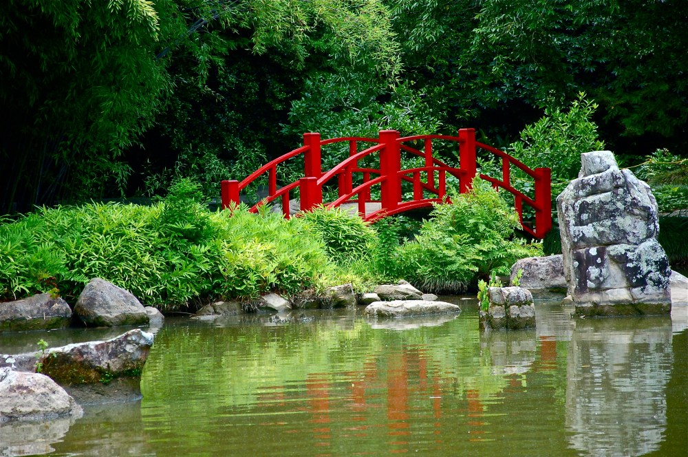 My beautiful red-head took this picture at the gardens the other day