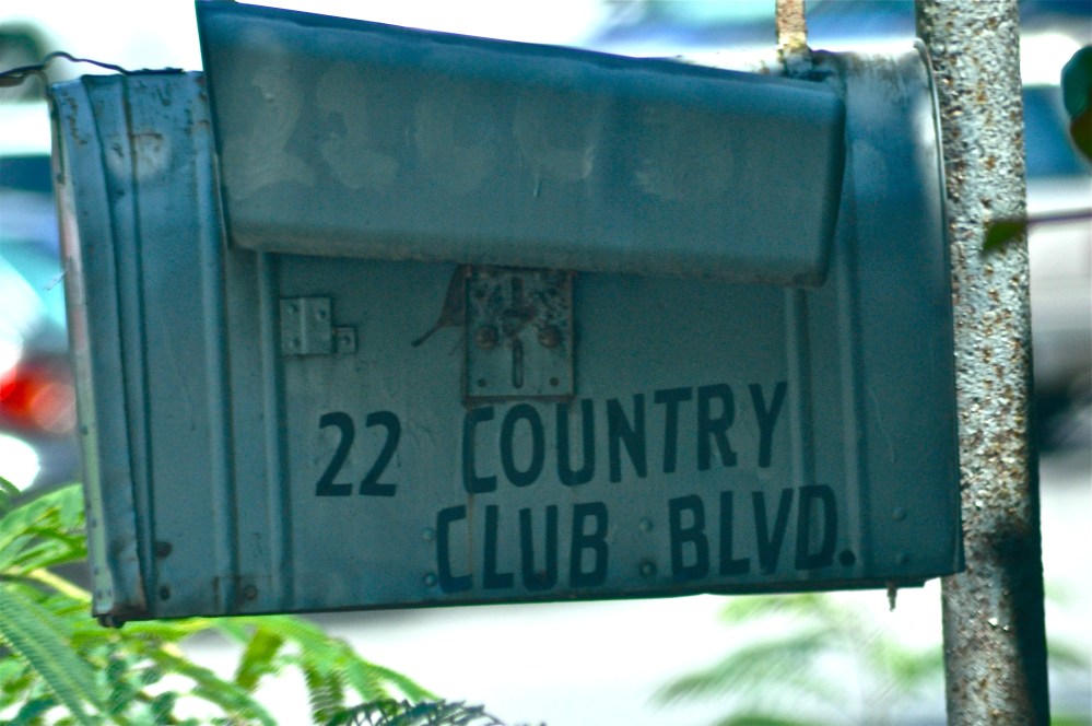 This is a very rich road, the houses here stun me. I love this mailbox