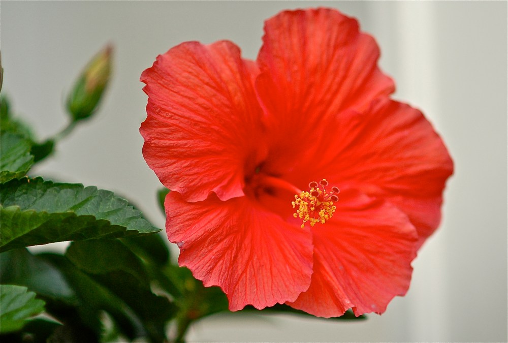 blog is looking like everything was taken with my phone, underexposed