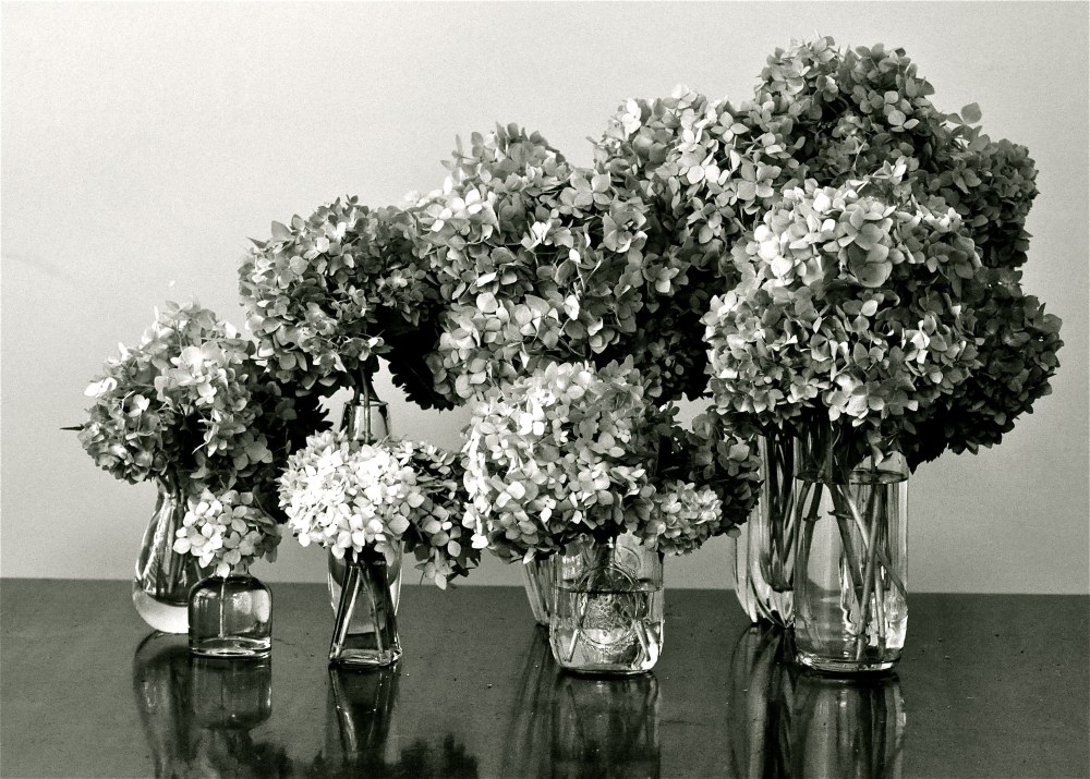 Black & white & blue & Yellow only you don't know it because its just black & white now.