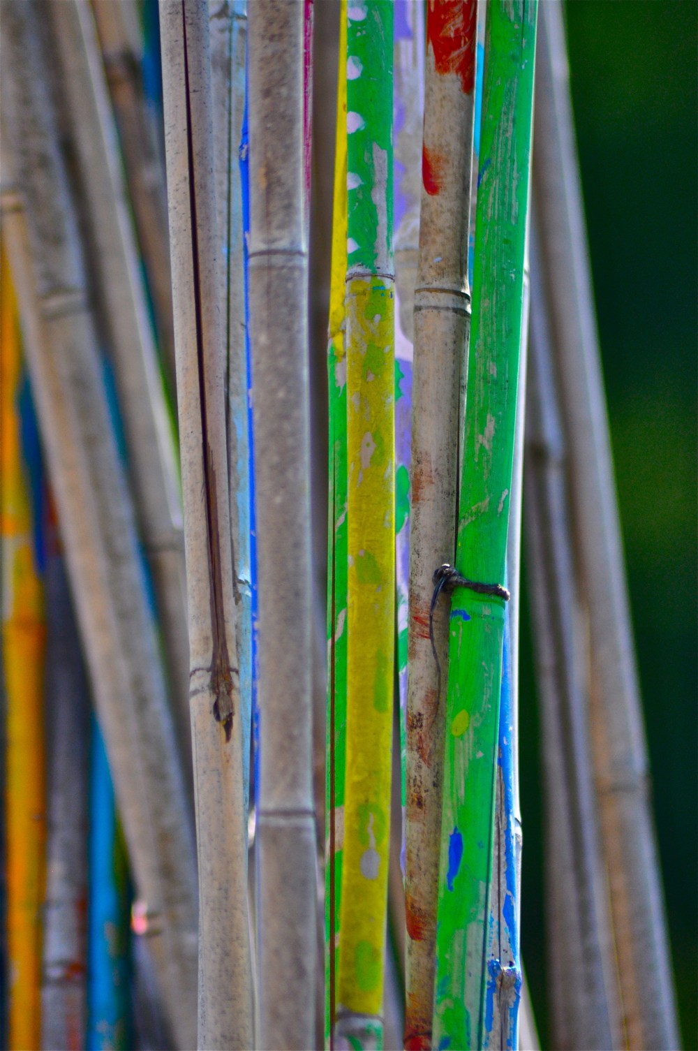 Hand painted bamboo for holding up veggies in the community garden