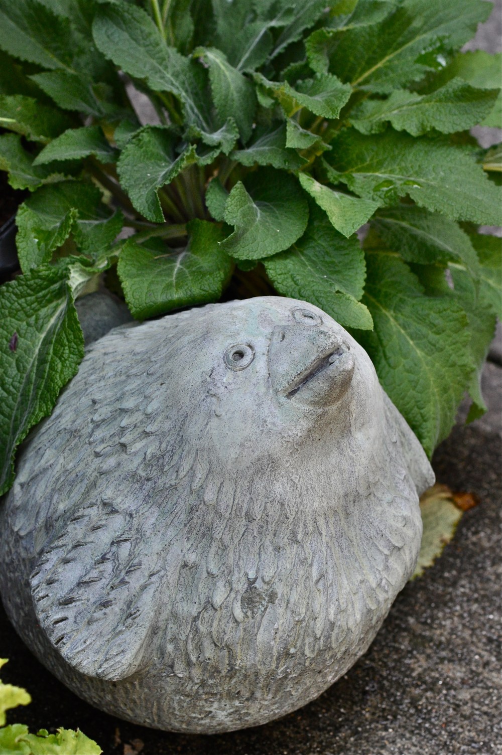 I really love you Bird, but you have turned into a bowling ball