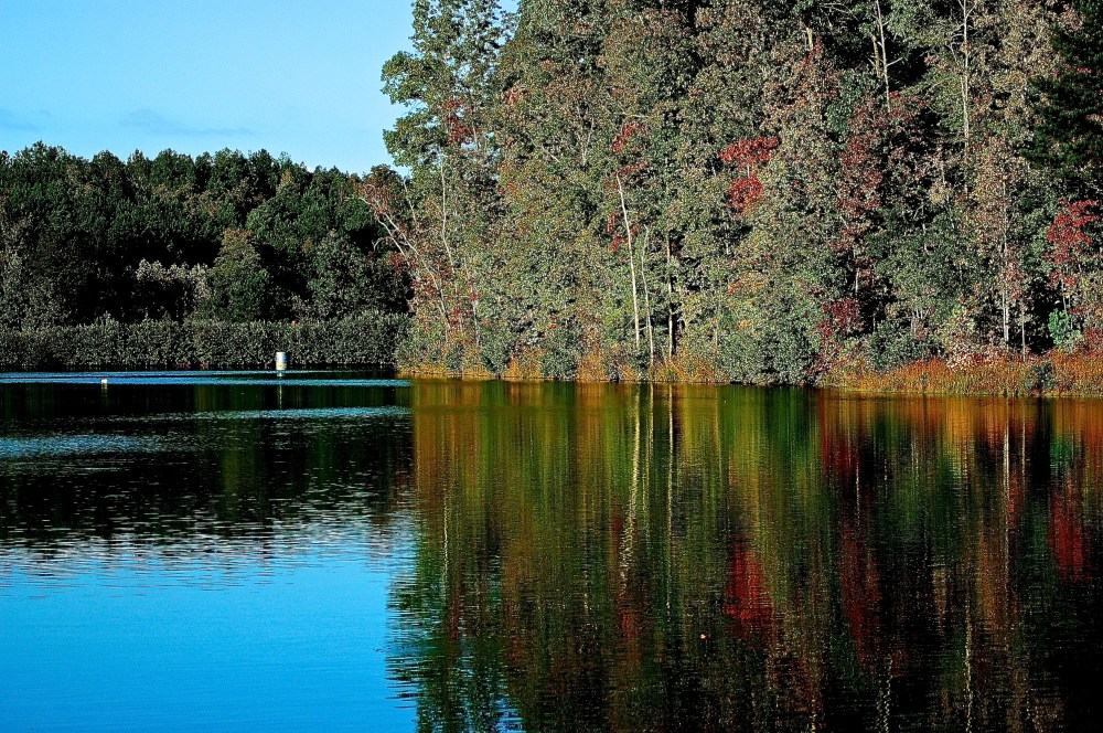 This is my father in law's pond in the fall