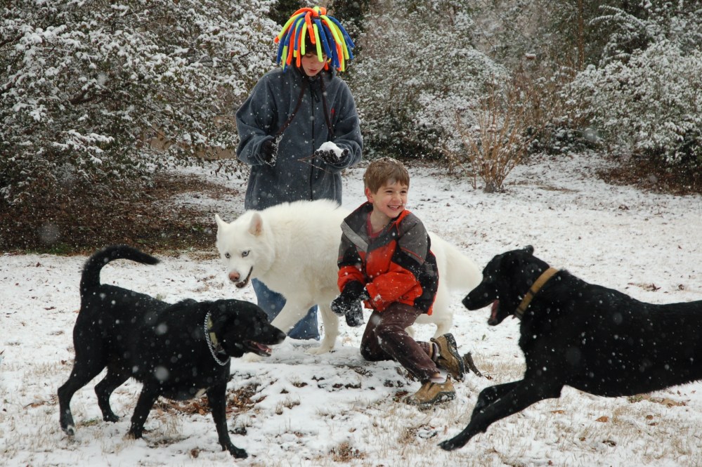 I got to admit the photographer in me prevented me from saving either my dog or my son.