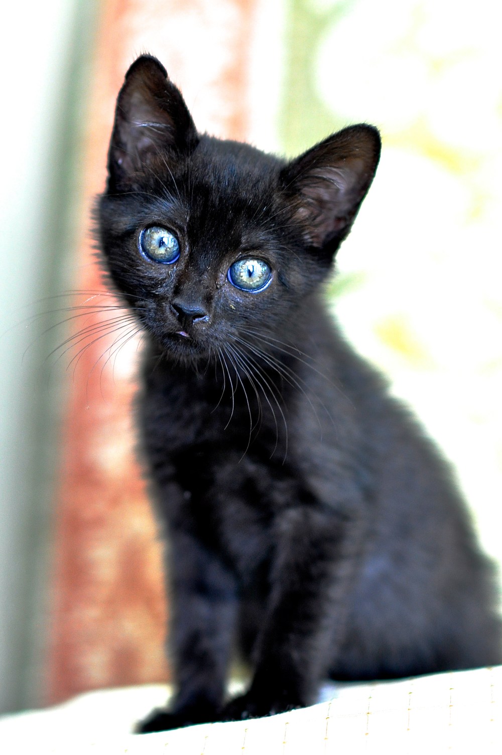 She is too low on the page.  I need to stare into her marble eyes