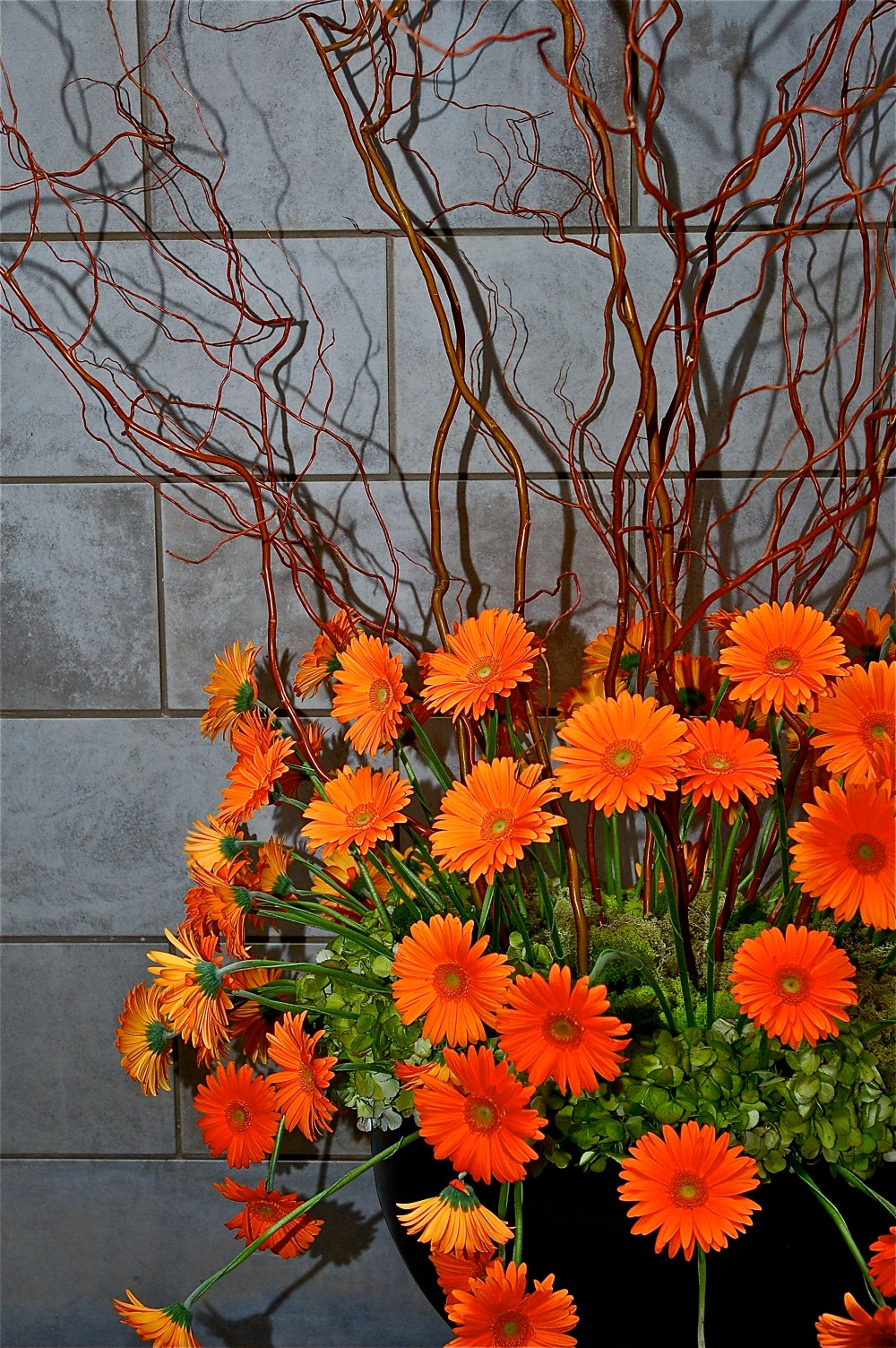 Pretty over the top, this is for a bat Mitzvah (or Bar)I think it is stunning