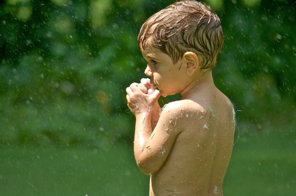 H. is two see all the white fur from playing with Blue?