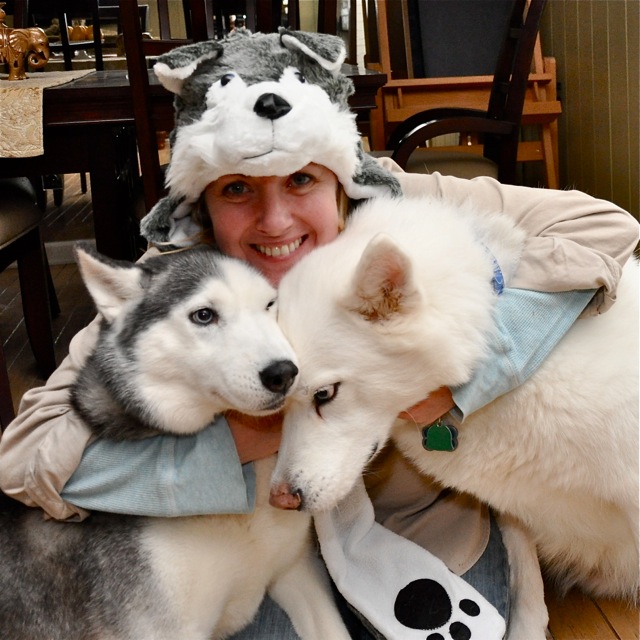 Three big Huskies.  Nala & Blue were behaving just like brother & sisters do when they have to touch each other