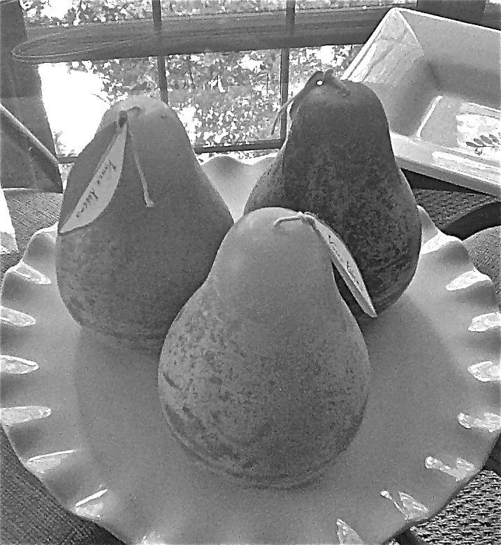 Three pear candles, sitting in a dish. Praying with all their might, that they are never needed for light
