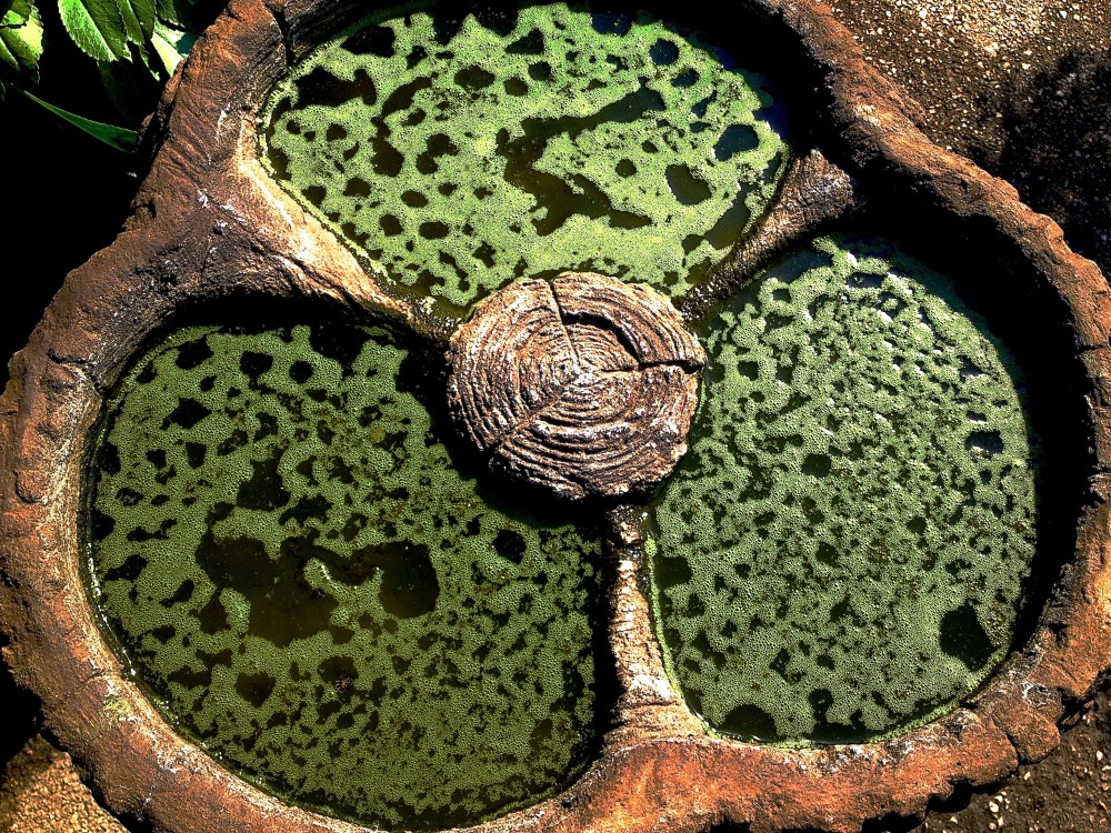 This is what I felt like yesterday, kidding (sort of) this bird bath was at a nursery!