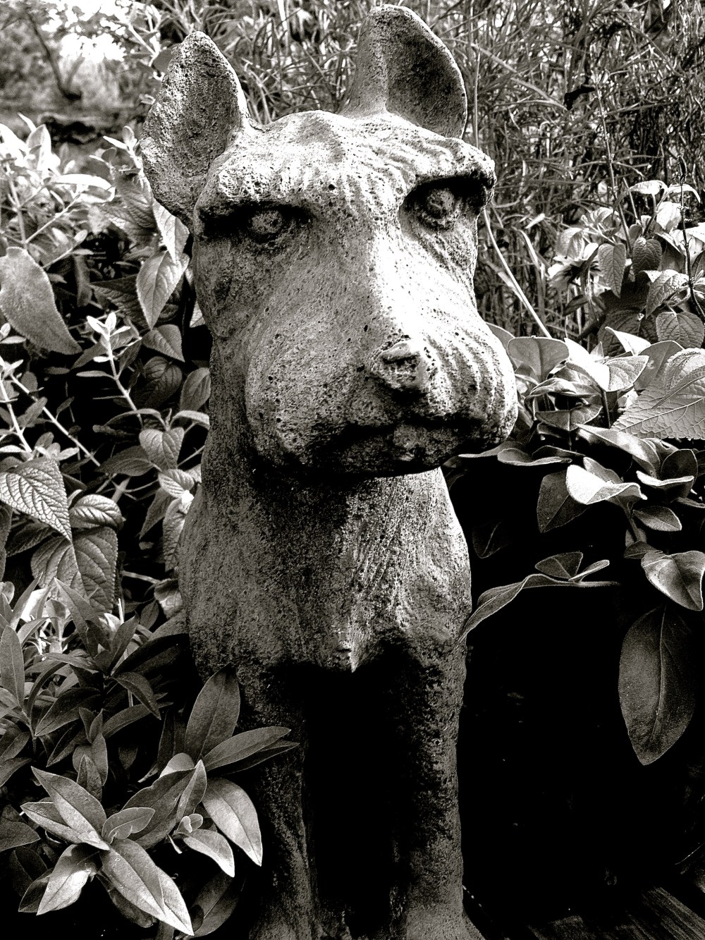 Proud wee doggie, do you suppose he is a Westie?