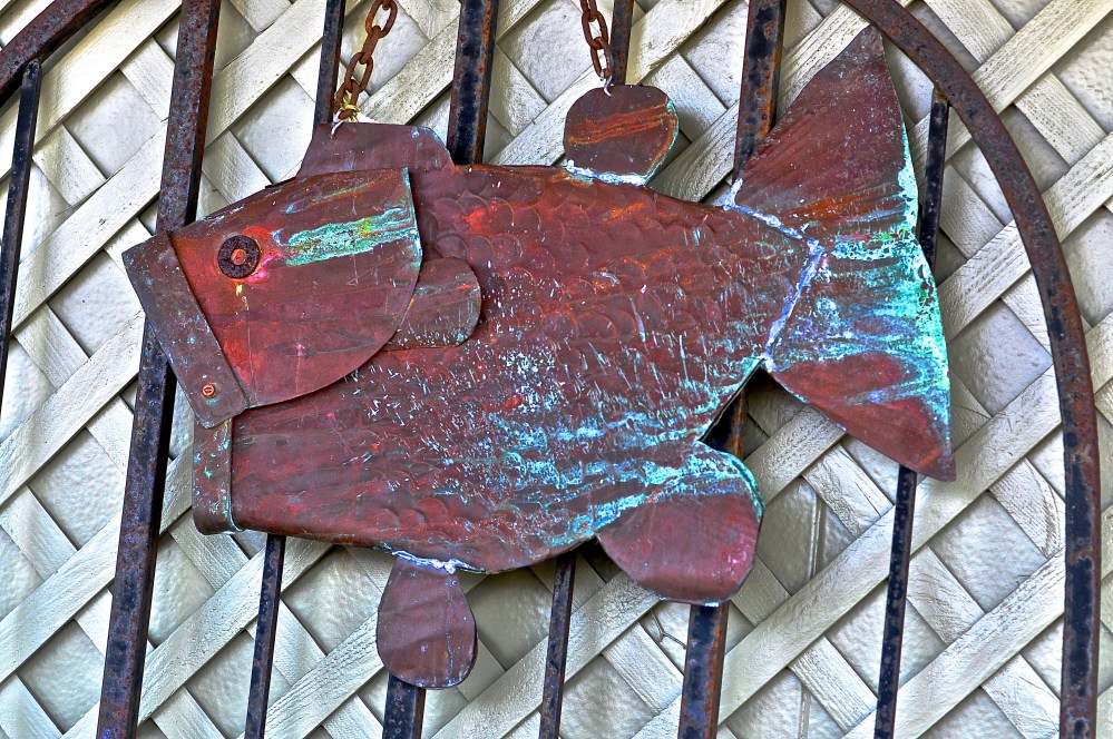 Great Catch! This guy is hanging out at Chickadee