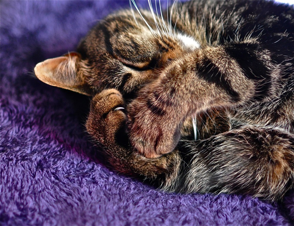 Oh, mom, please, close the blinds....