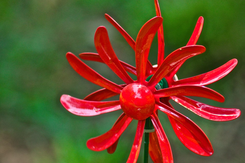 I've decided this is all I can grow.