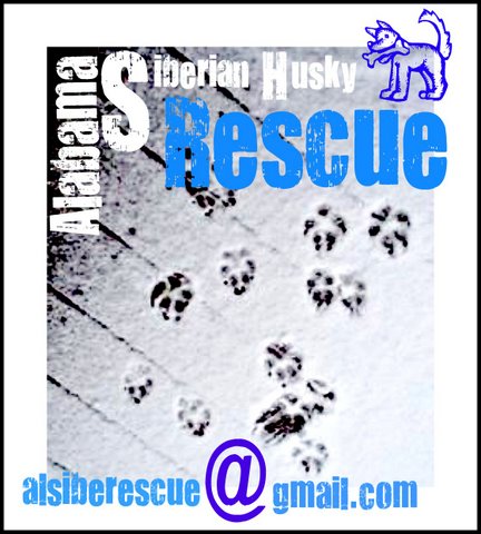 I bought Blue from a breeder