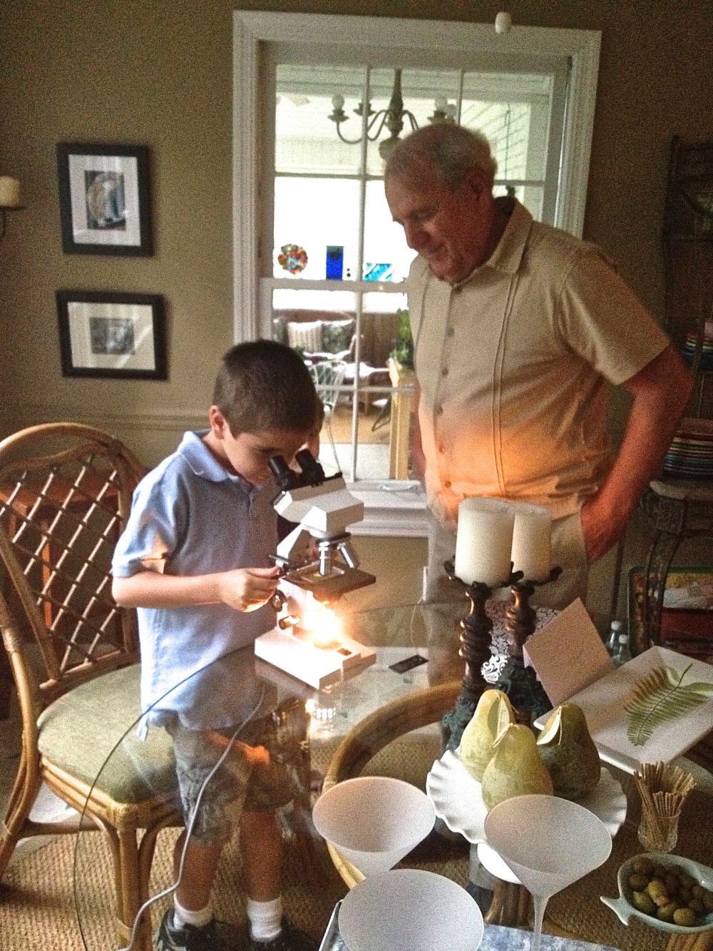 Take science out of schools??!?!?