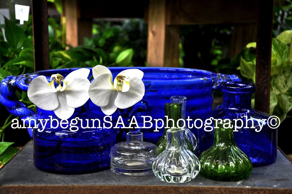 Sometimes others set up the shot