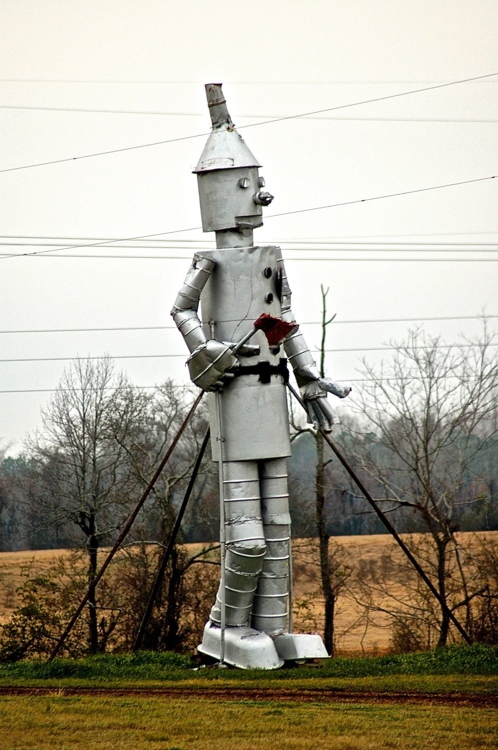 The man made of Tin walks in fields of yellow