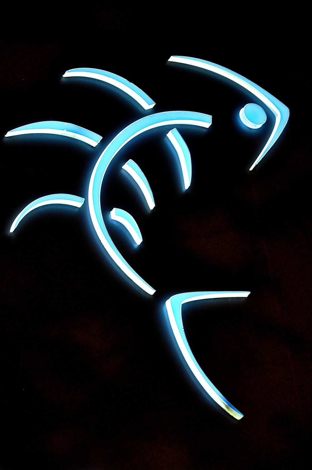 Fish bones in neon
