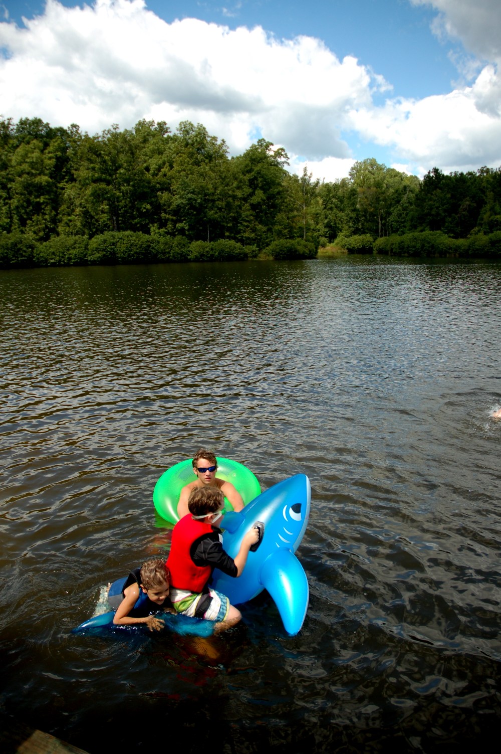 A large shark seen @ Saab Lake