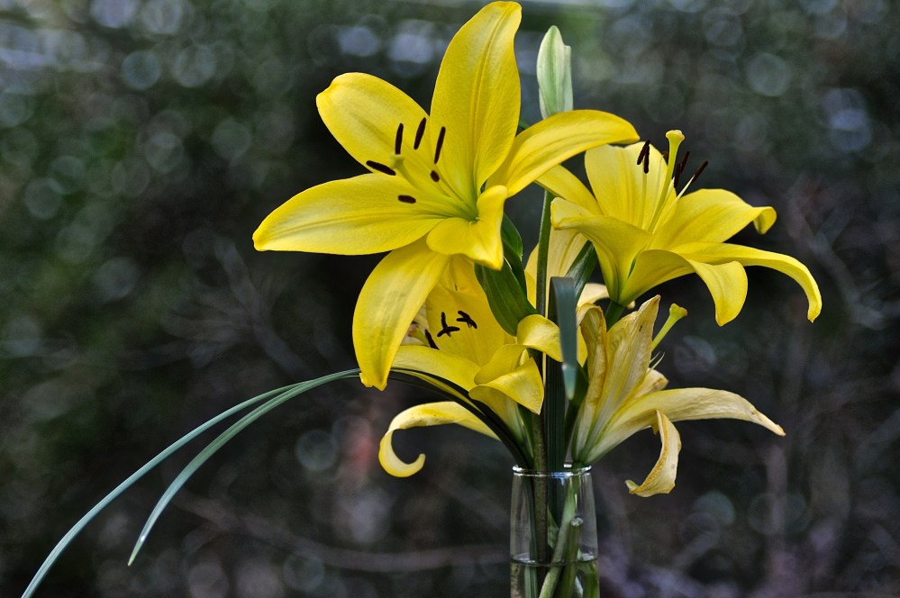  Flowers from my husband