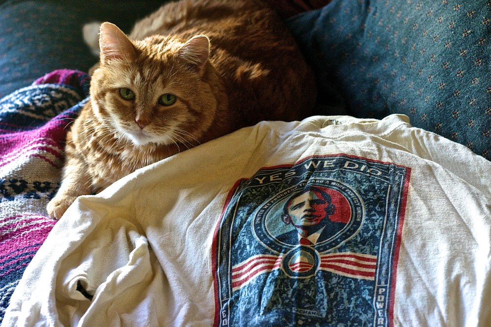 Old Obama t-shirt & Max