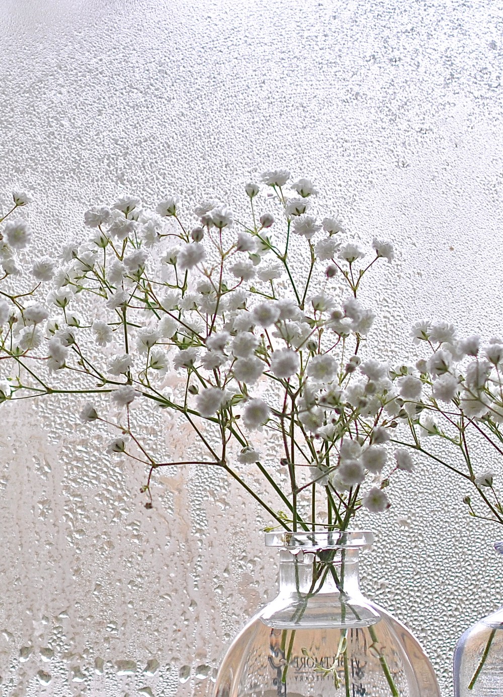 wanna see what cold looks like?