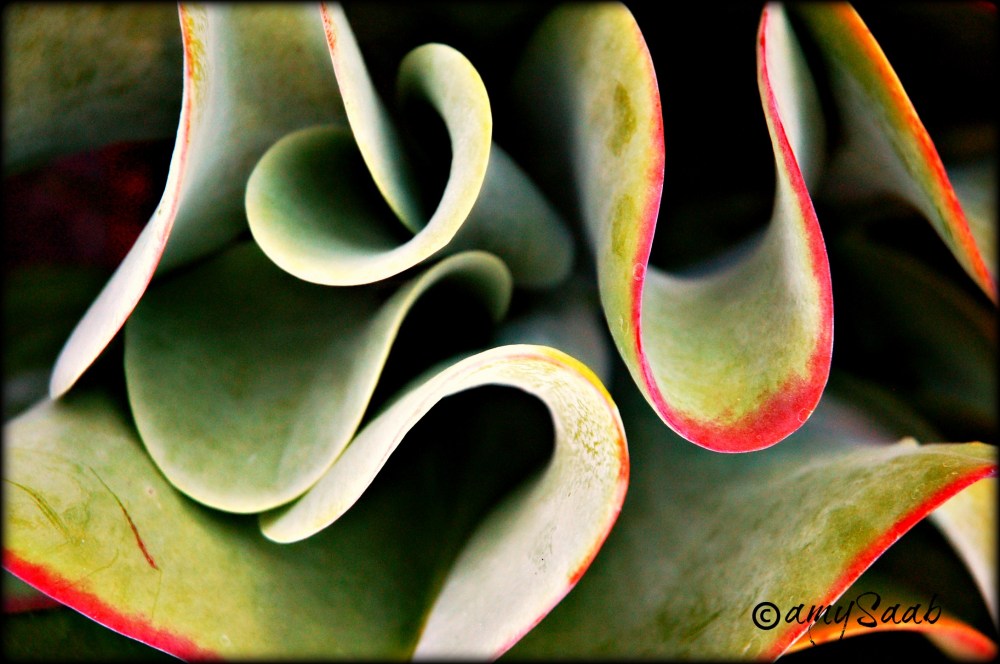 curves are better then sticks