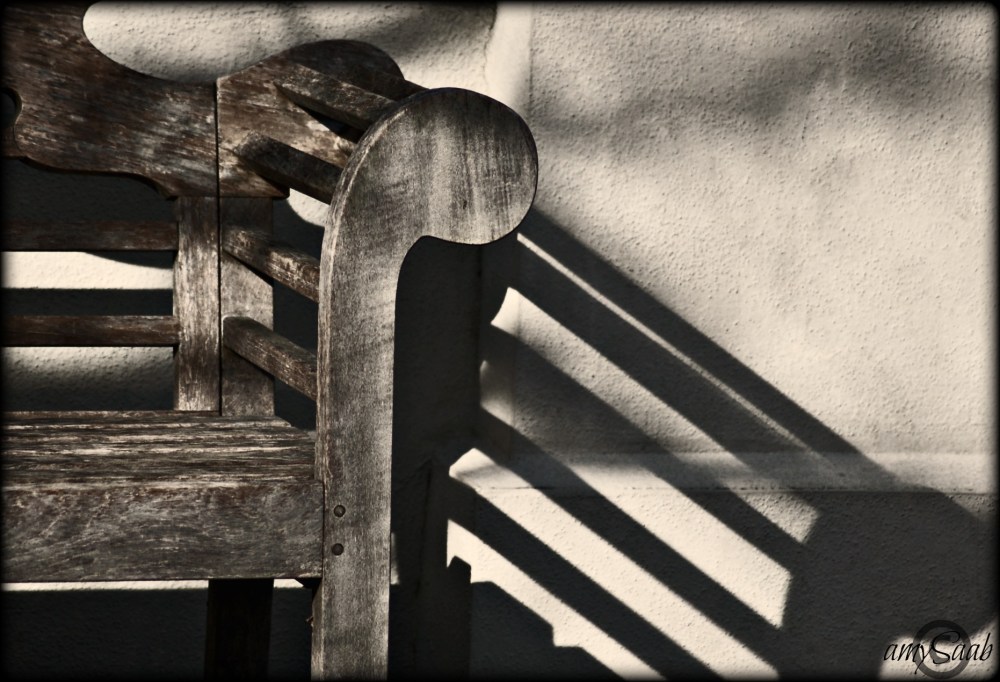 late afternoon @ the gardens