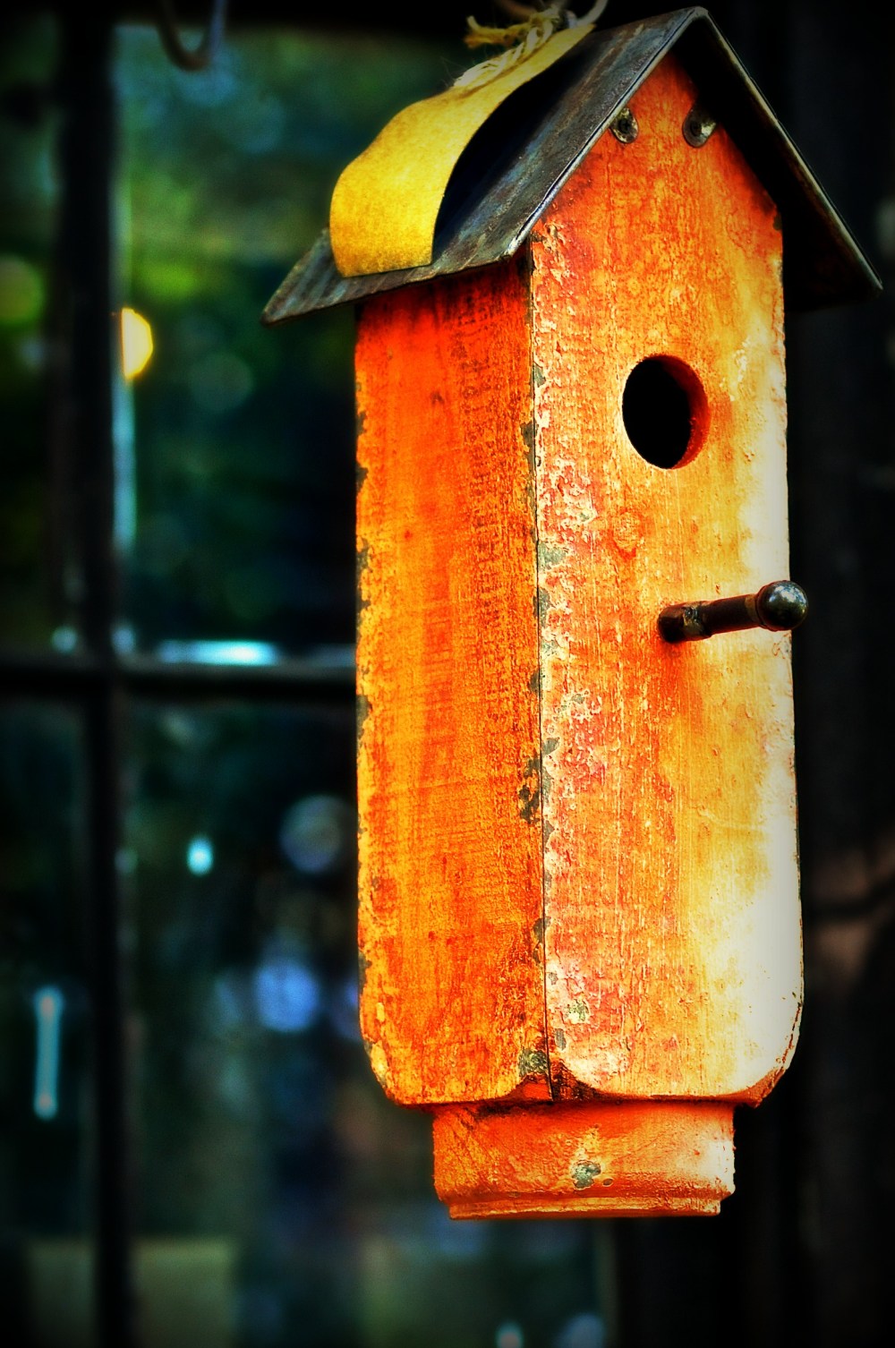 Orange bird house brings me peace...