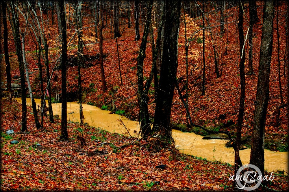 Birmingham Spring Water?