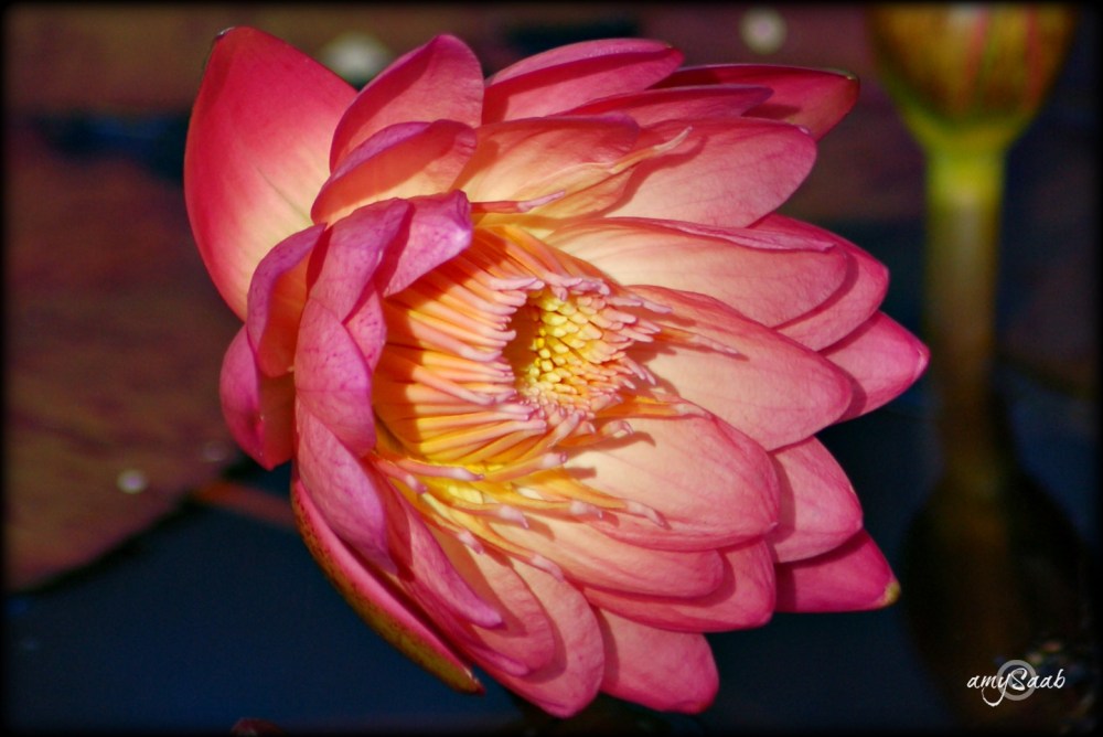 nature can knock my sock off