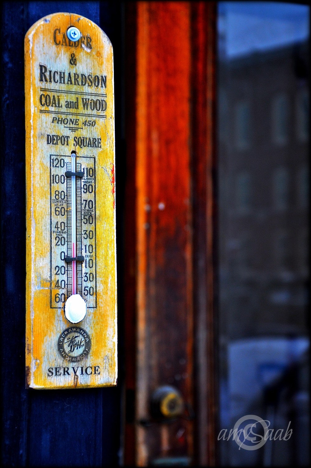 12 degrees & I was so happy I barely felt cold