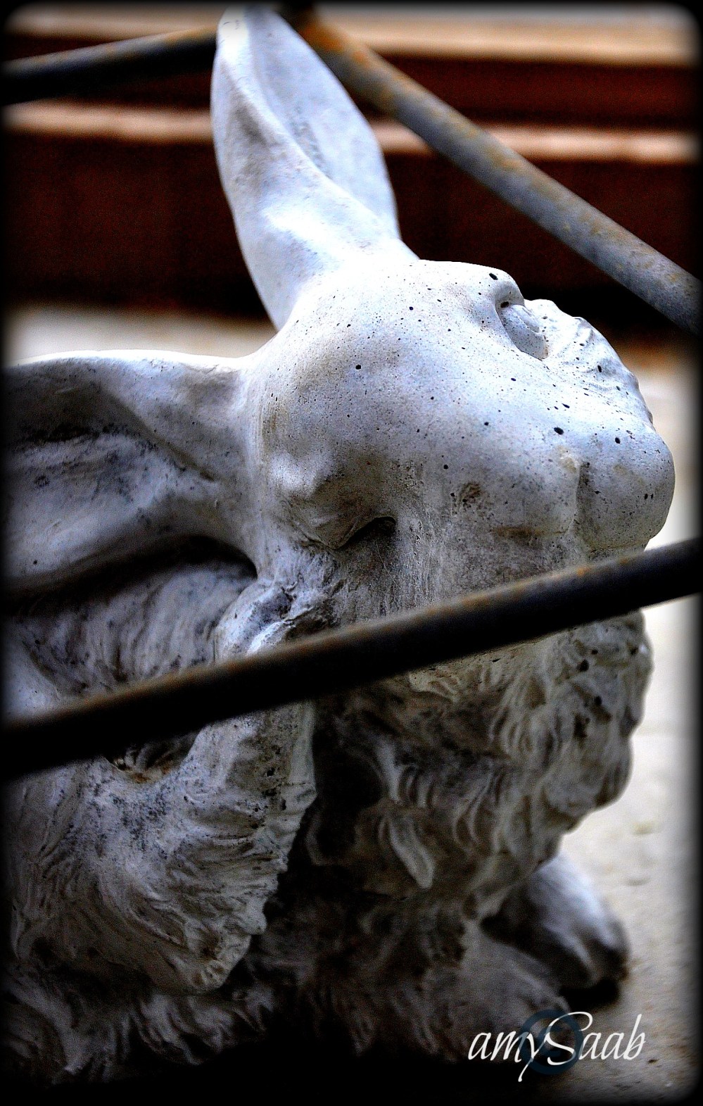 a bunny frozen in time