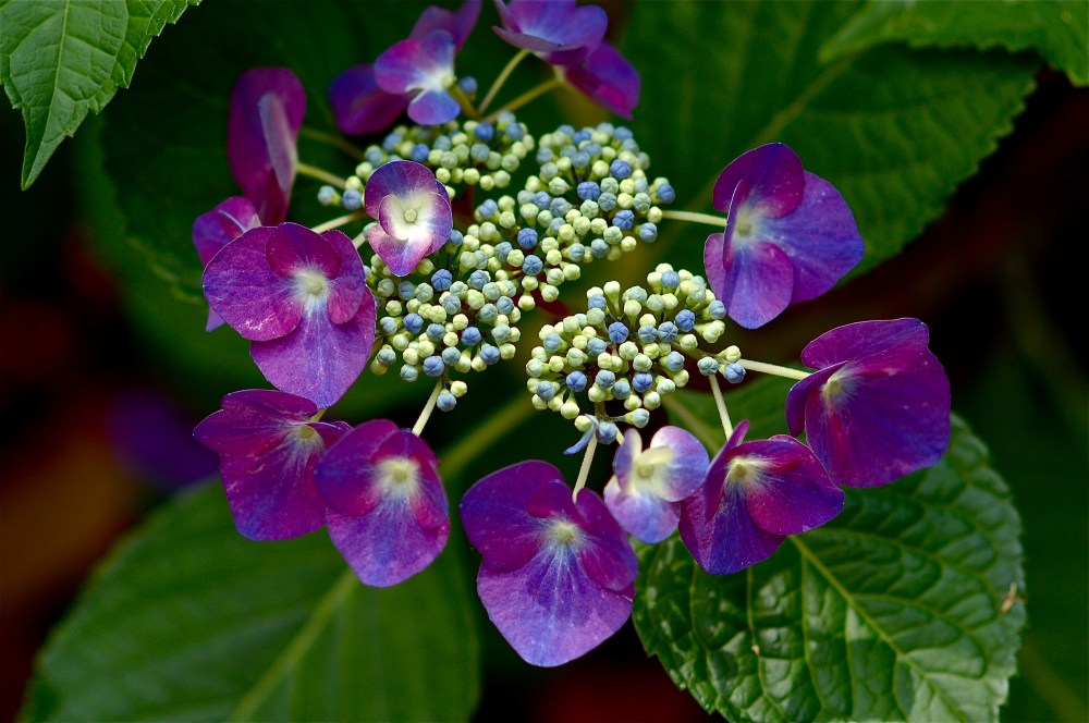 Goodness, that's a beauty