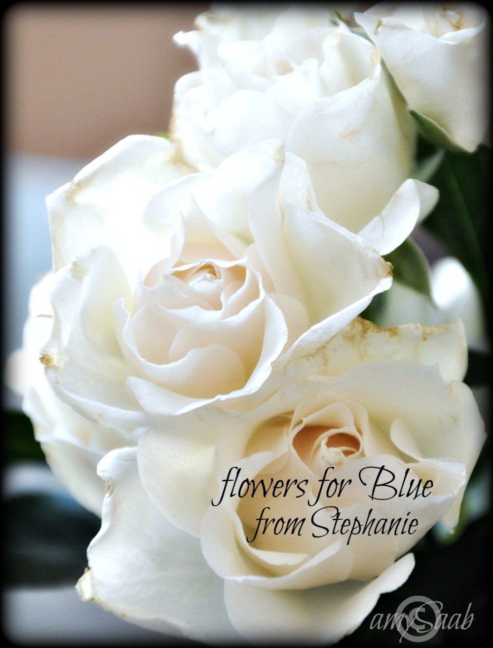 Roses from a wonderful friend in honor of our tears for Blue