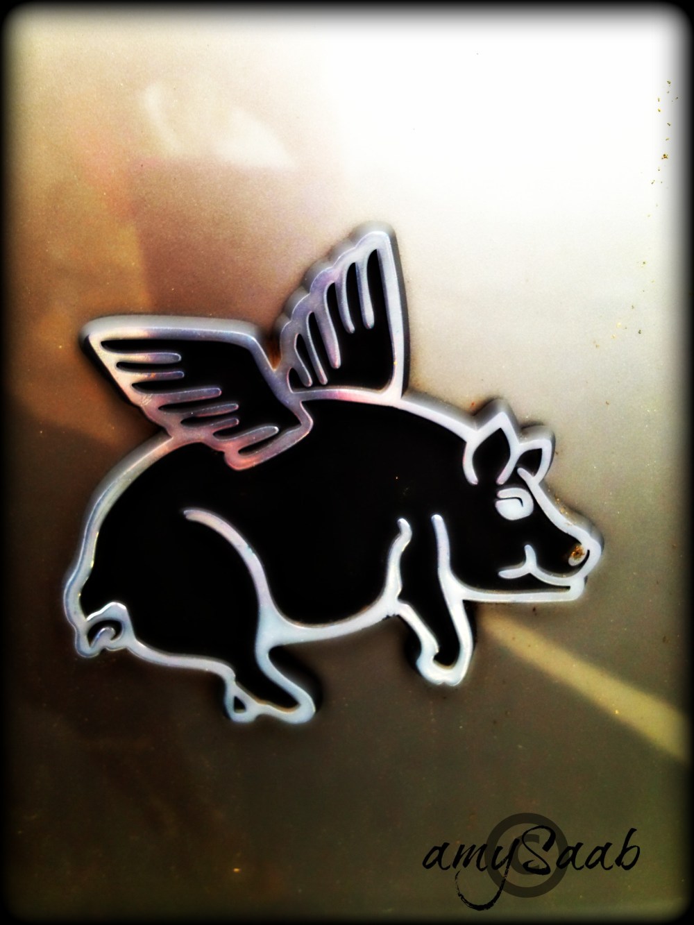 Alessandro Ciapanna made me smile...