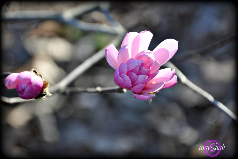 sometimes you just know by looking that its gonna be a beauty